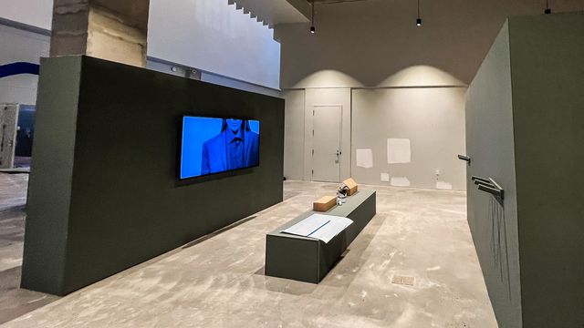 green partition walls with mounted television display