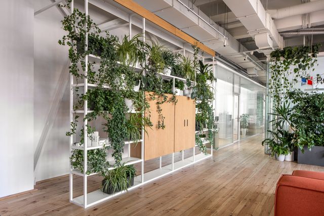 plant-filled white metal grid room divider with cabinets
