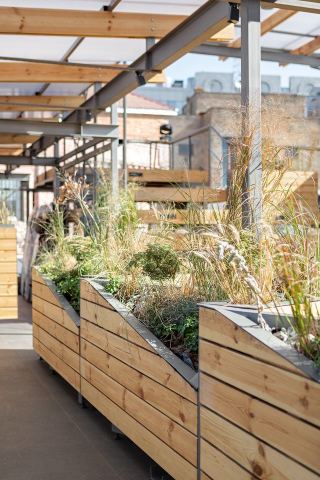 angular wooden slat planters with ornamental grasses